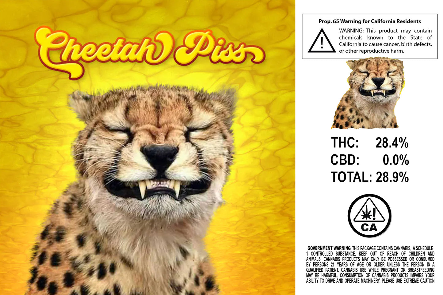 Cheetah Piss Turkey Bag Sticker