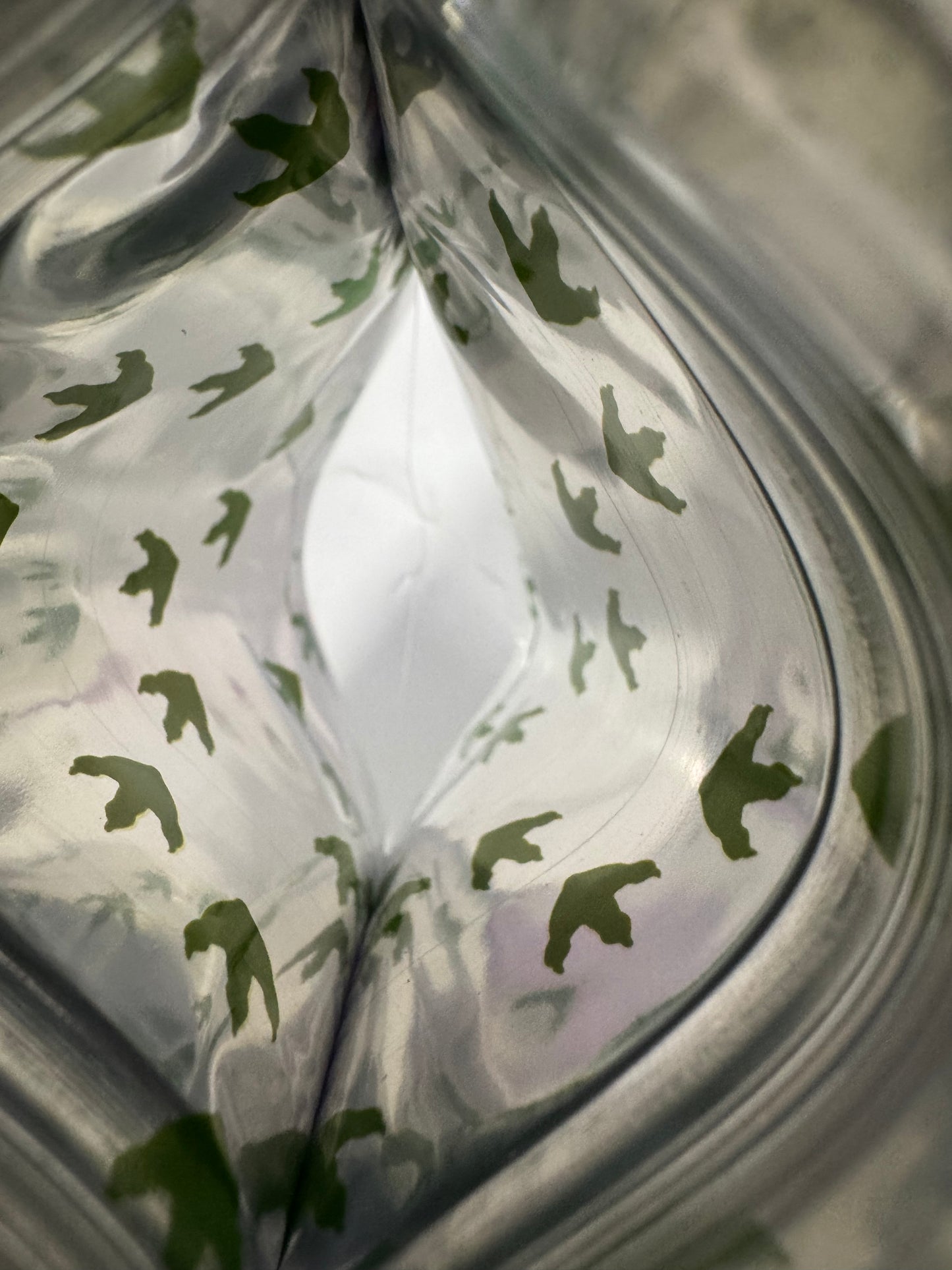 Dinosaur Tracks Mylar Bags 3.5g Teds Budz