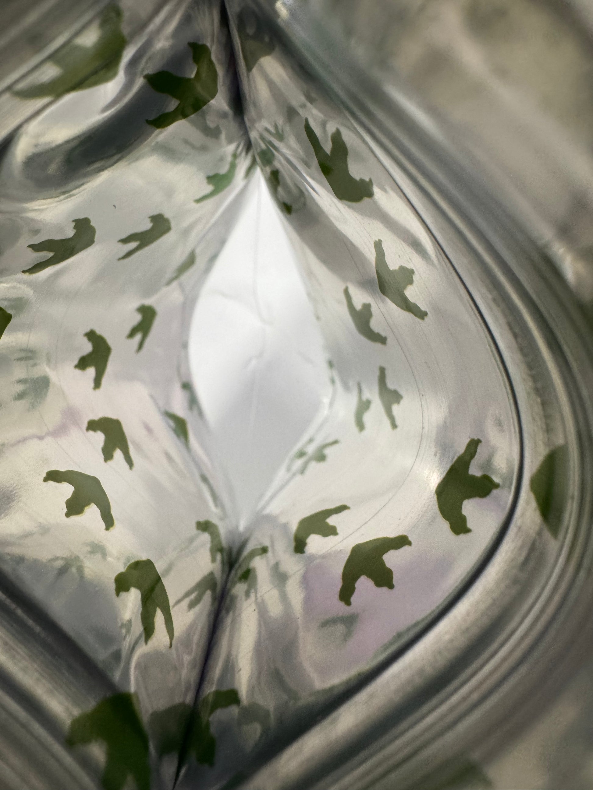Dinosaur Tracks Mylar Bags 3.5g Teds Budz