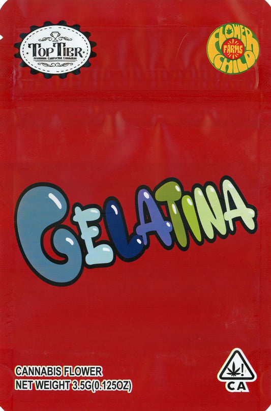 Backpack Boyz Mylar Bags 3.5g - Gelatina