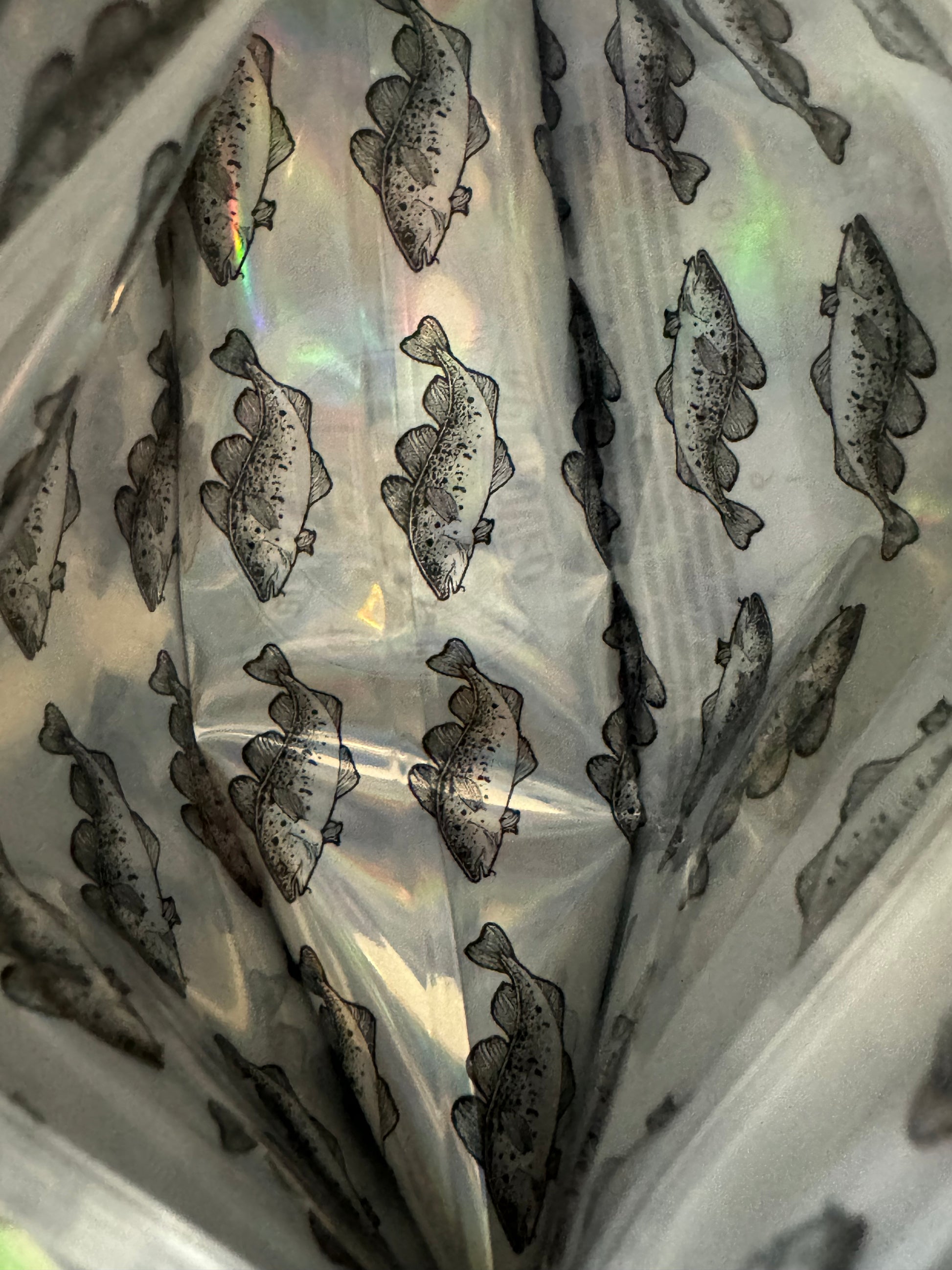 Black Cod Mylar Bags 3.5g The Ten Co