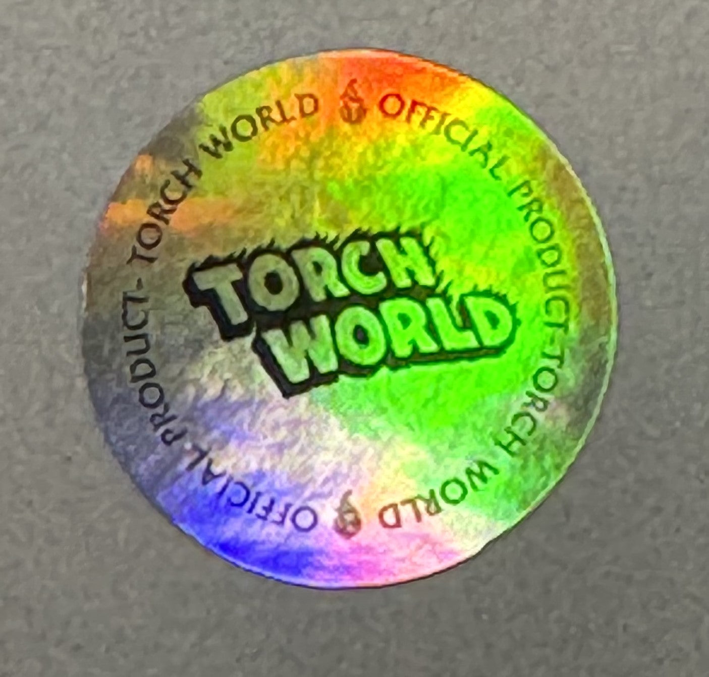 Torch World Hologram
